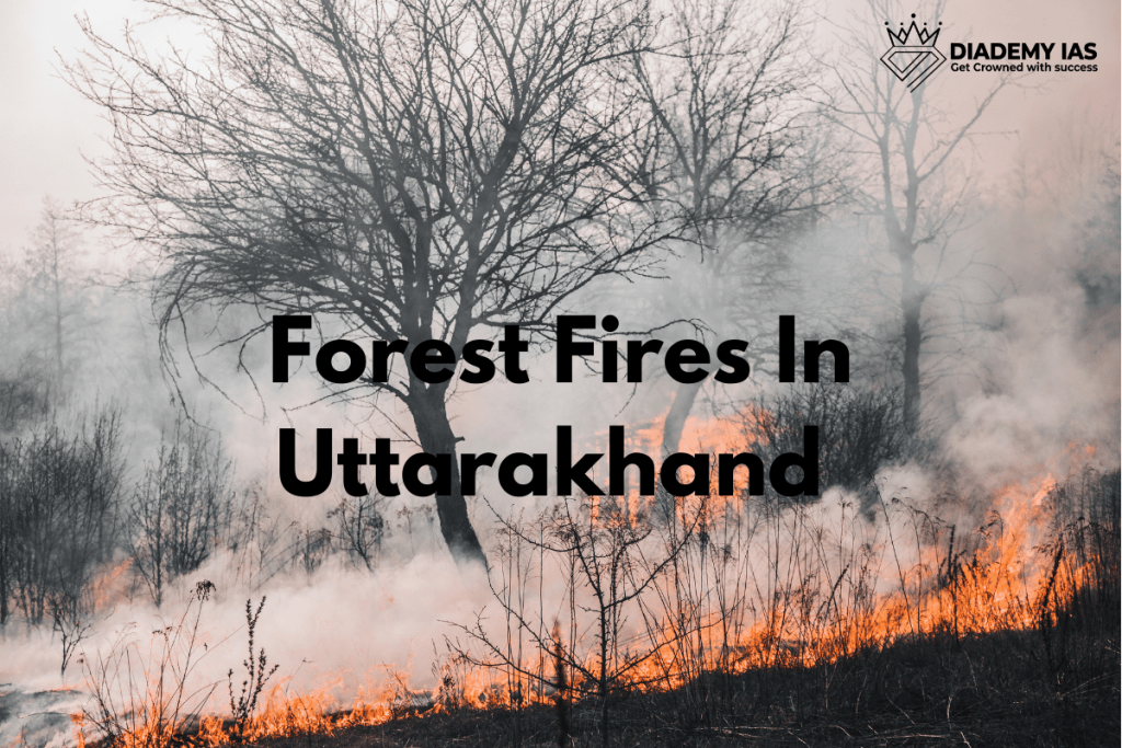 Forest Fires In Uttarakhand