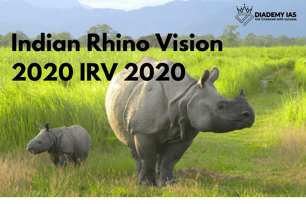 What Is Indian Rhino Vision 2020 IRV 2020? - DIADEMY